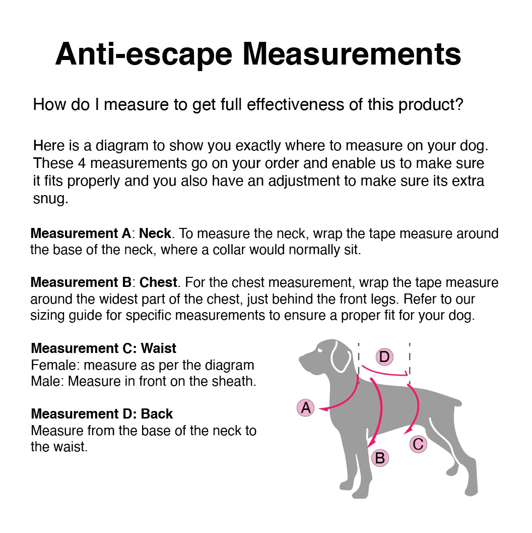 Anti escape harness set