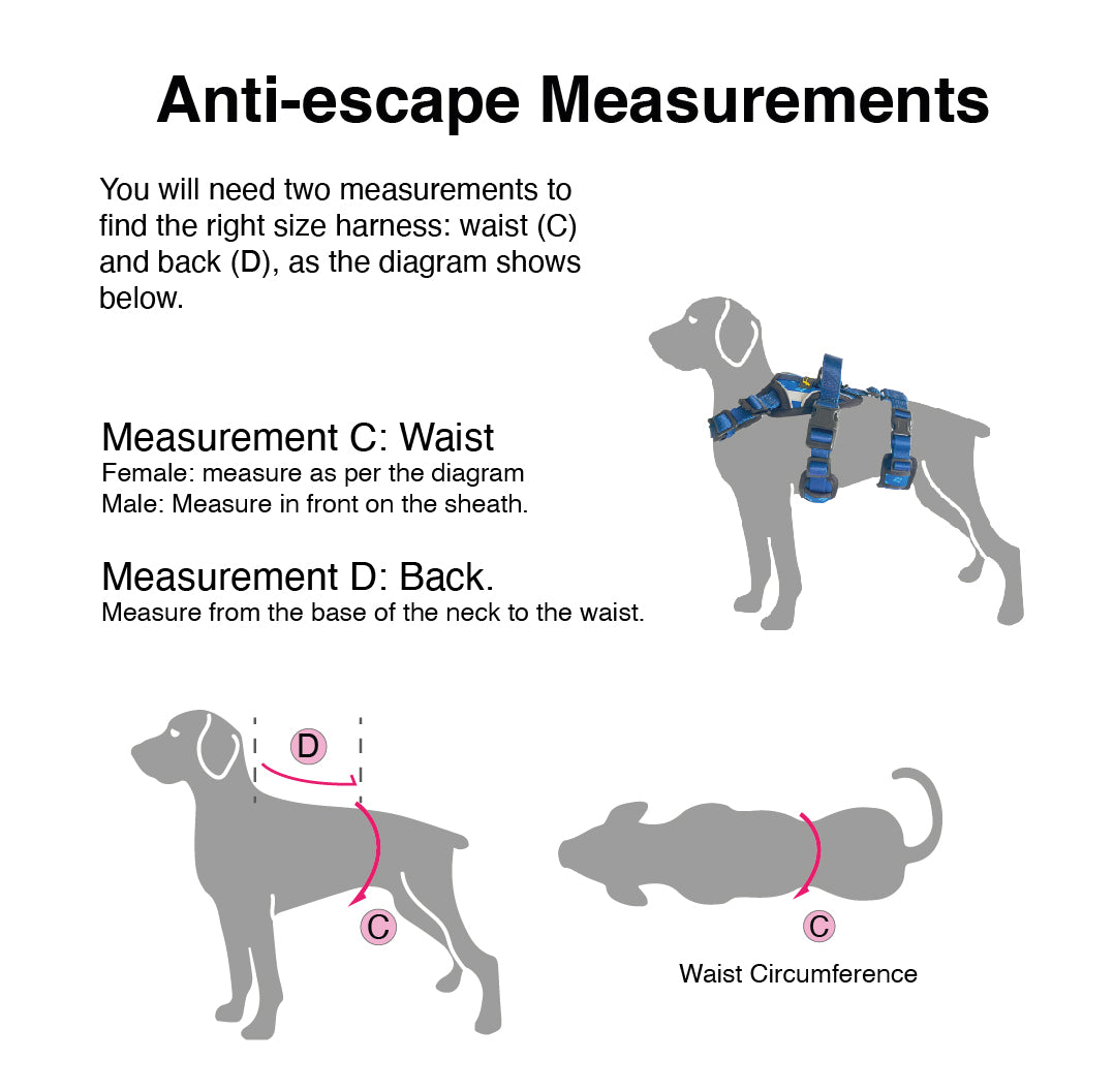 Anti escape strap measurements