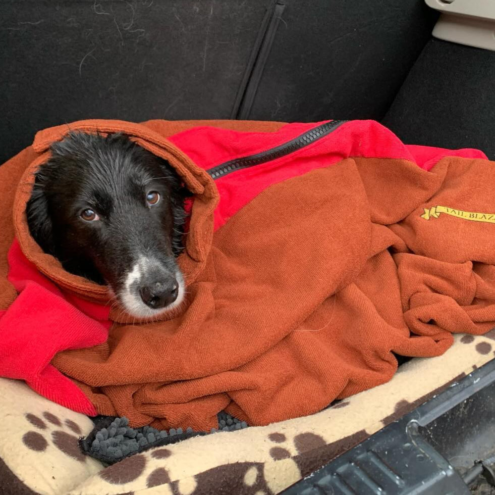 A dog is lying inside a brown dog drying bag on the car boot