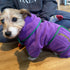 A small dog wearing a purple microfibre towelling dog drying coat sitting on the floor, a human sitting behind the dog