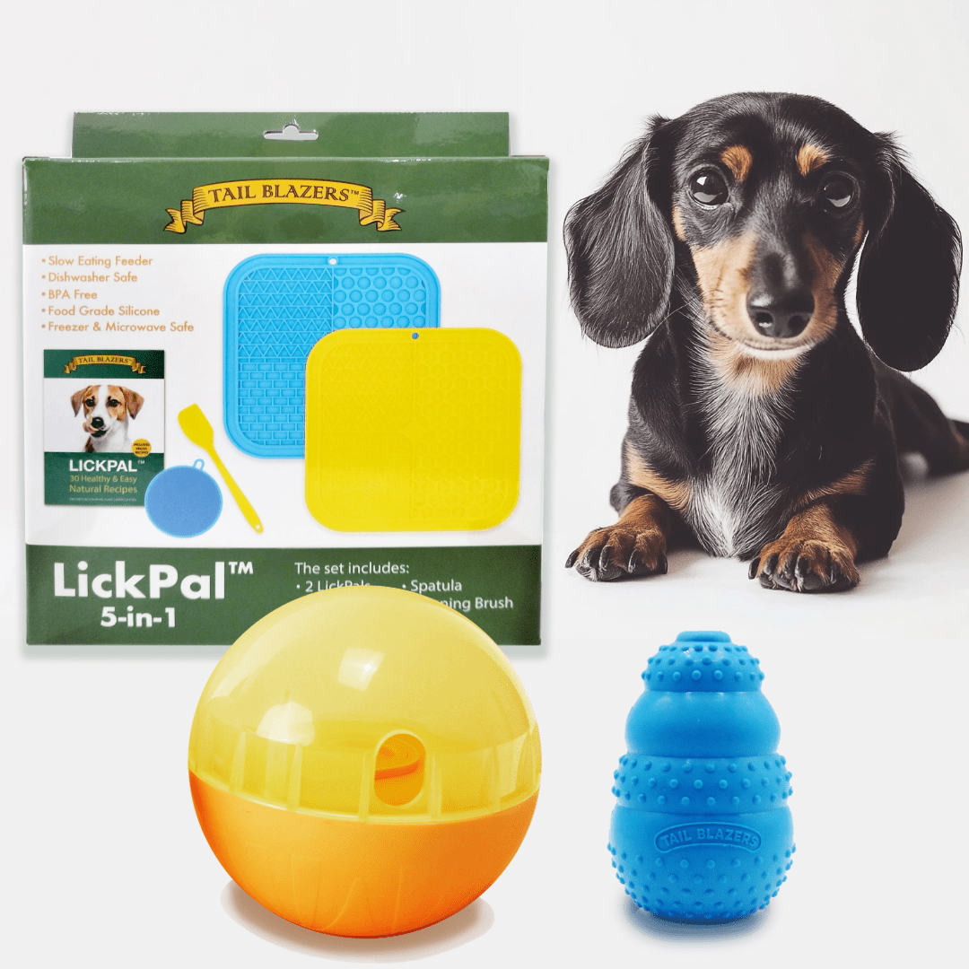 A Dachshund with a few dog toys and enrichment, lick mat set, treat ball and natural rubber chewer