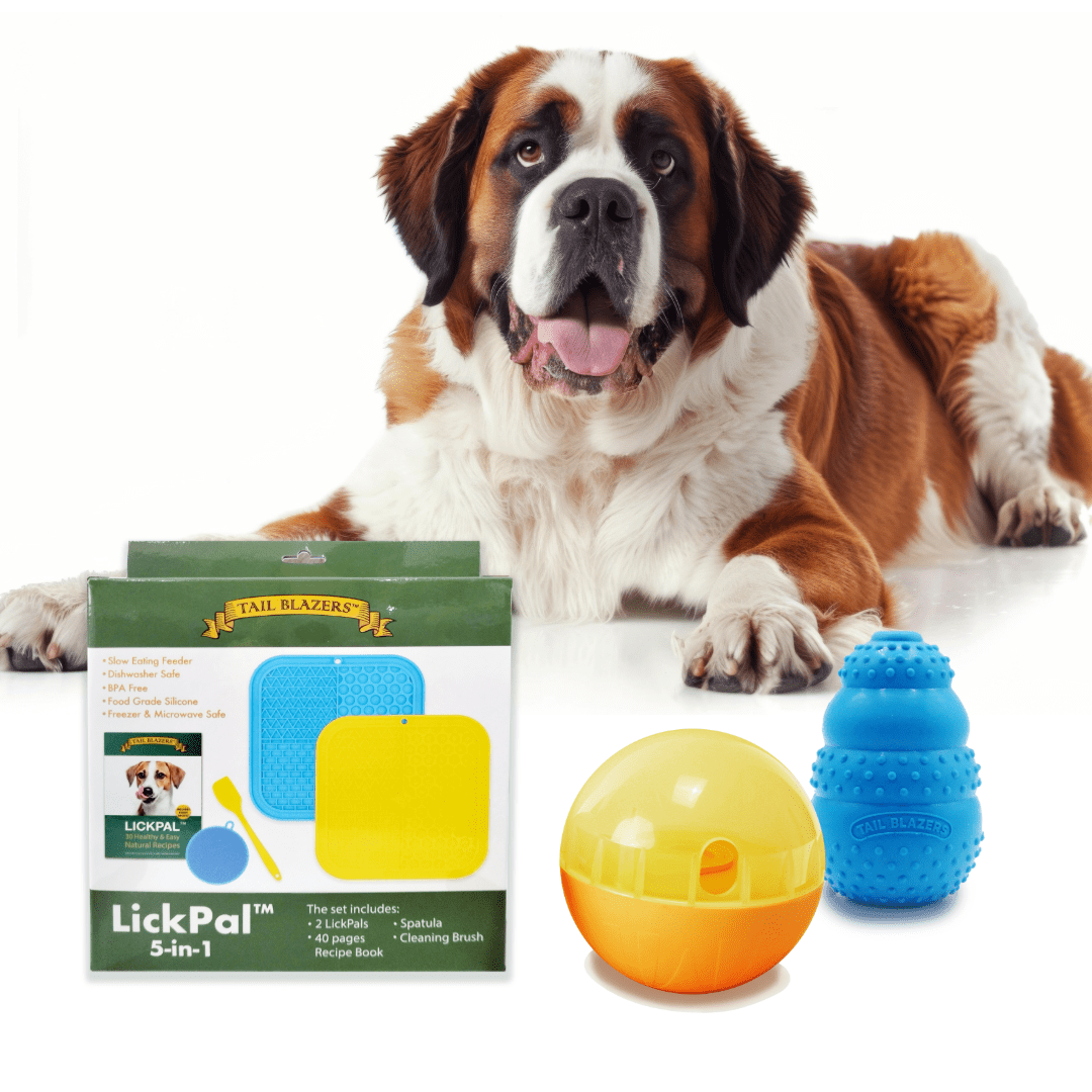 A St. Bernard Dog with a few dog toys and enrichment, lick mat set, treat ball and natural rubber chewer