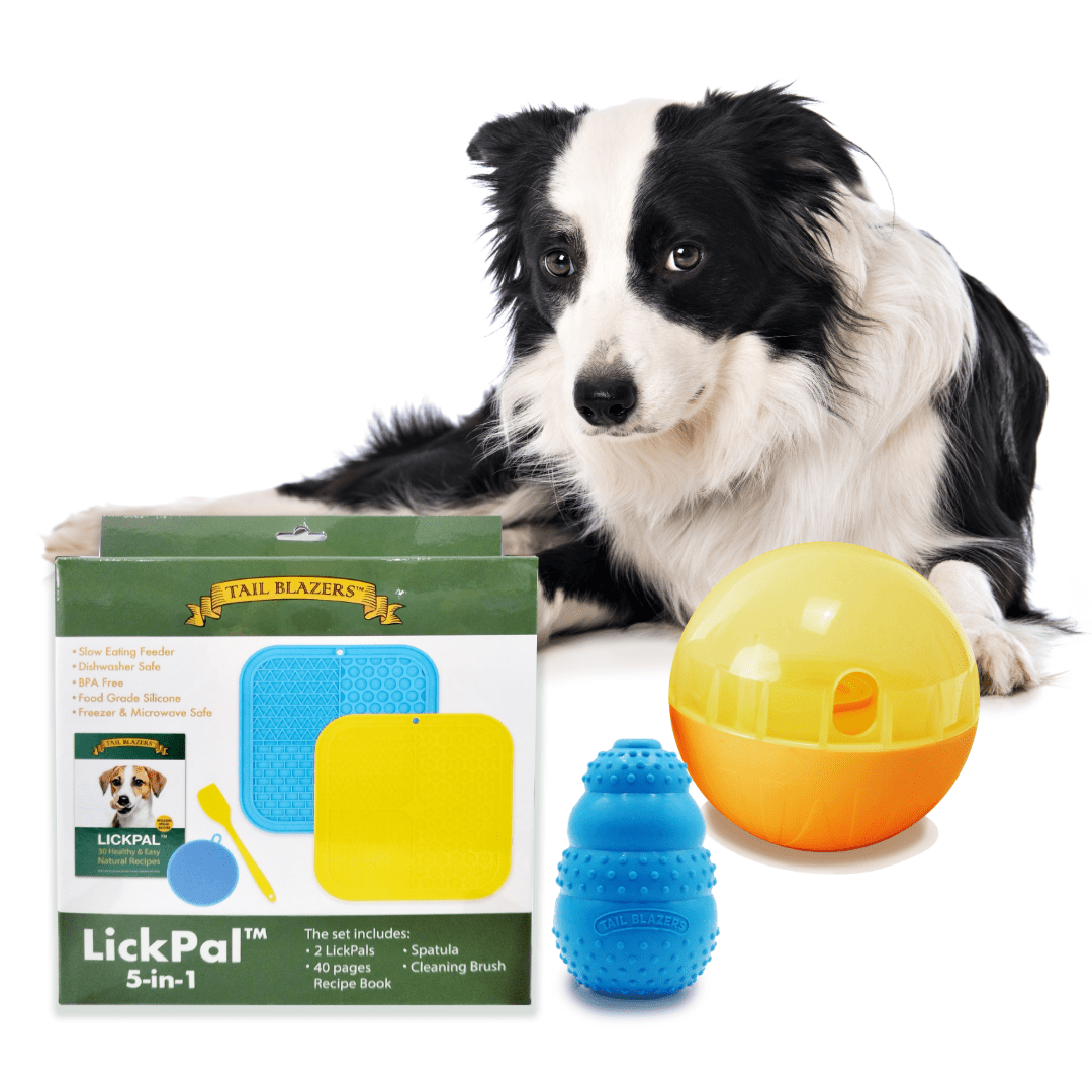 A Border Collie with a few dog toys and enrichment, lick mat set, treat ball and natural rubber chewer