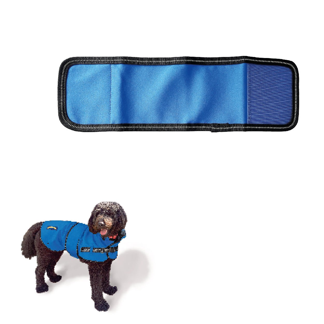 Product image of the dog raincoat belly flap, another dog image at the bottom corner showing a labradoodle with the blue jacket on