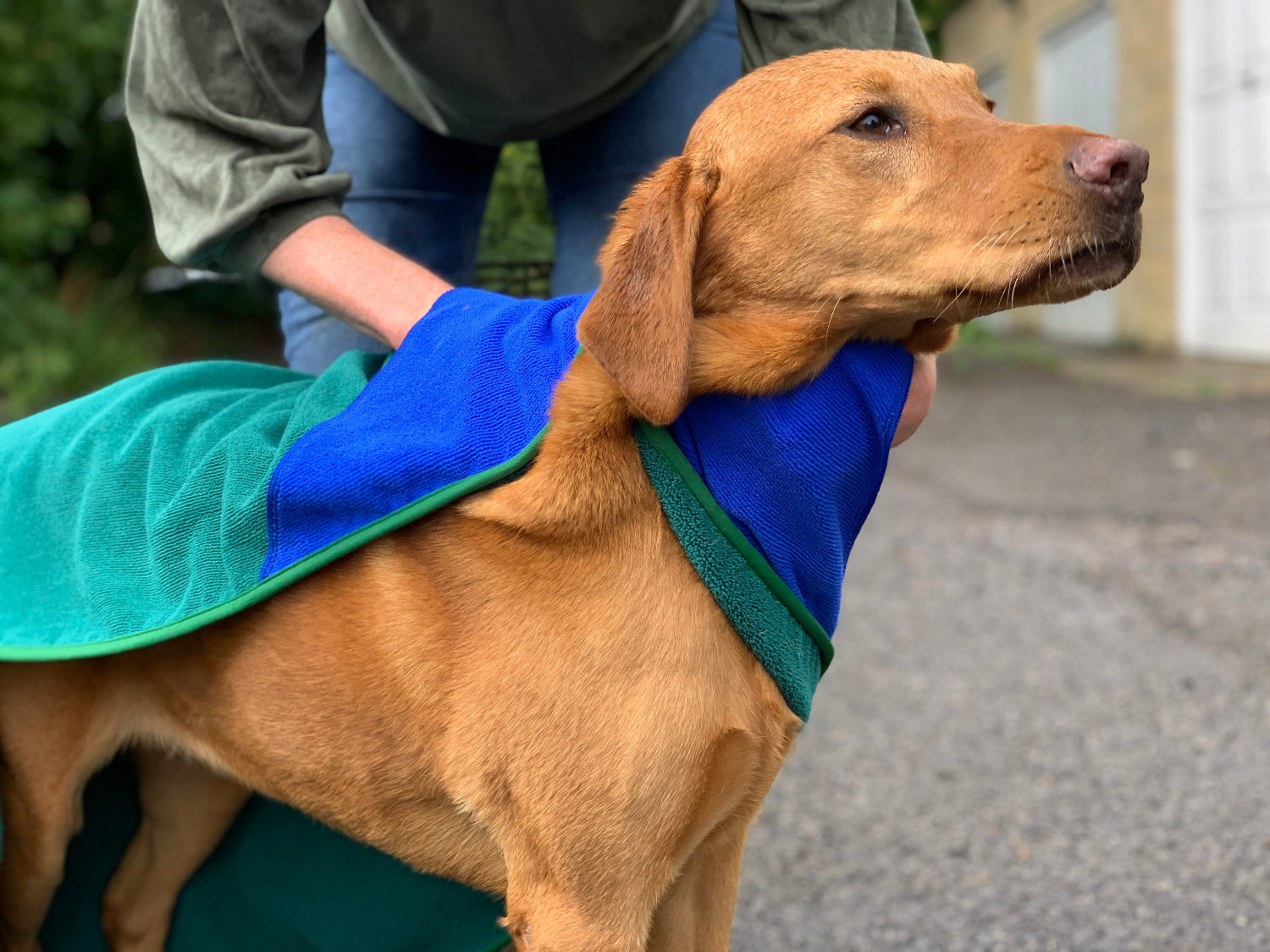 Microfibre dog towel