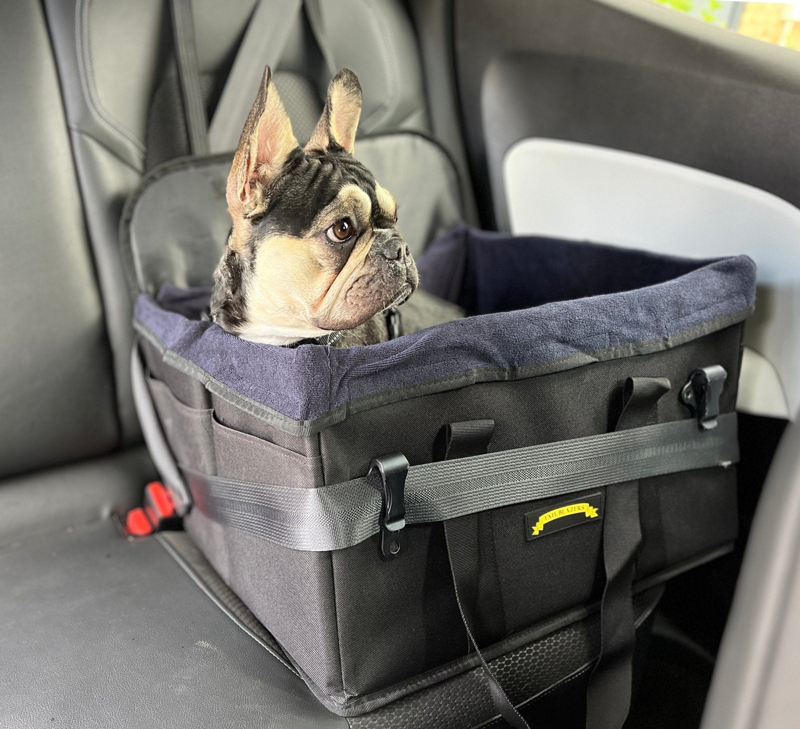 A French bulldog is sitting inside the sturdy car seat that is mounted on the car