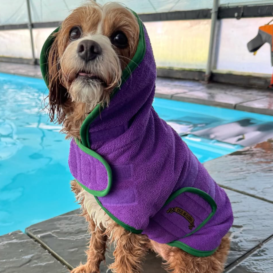 Dog towel robe swim