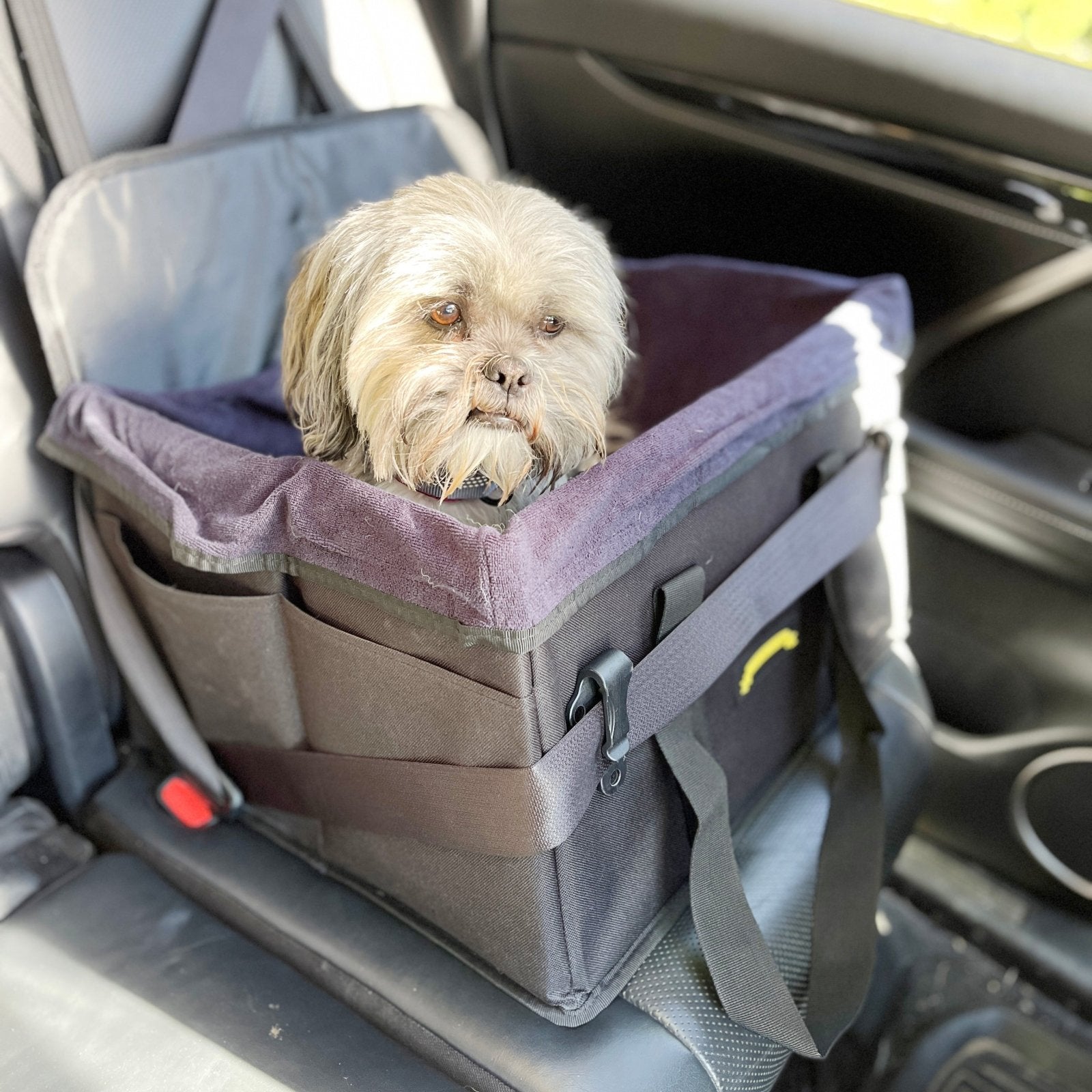 A Lhasa Apso dog sitting in a dog travel crate that is secured on the car with seat belt