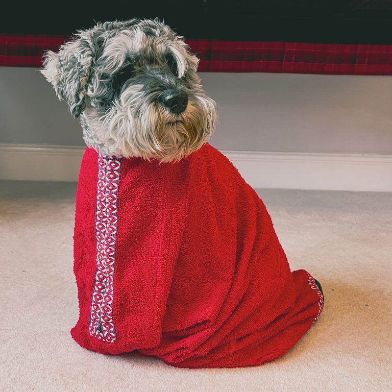 Our first dog drying bag design