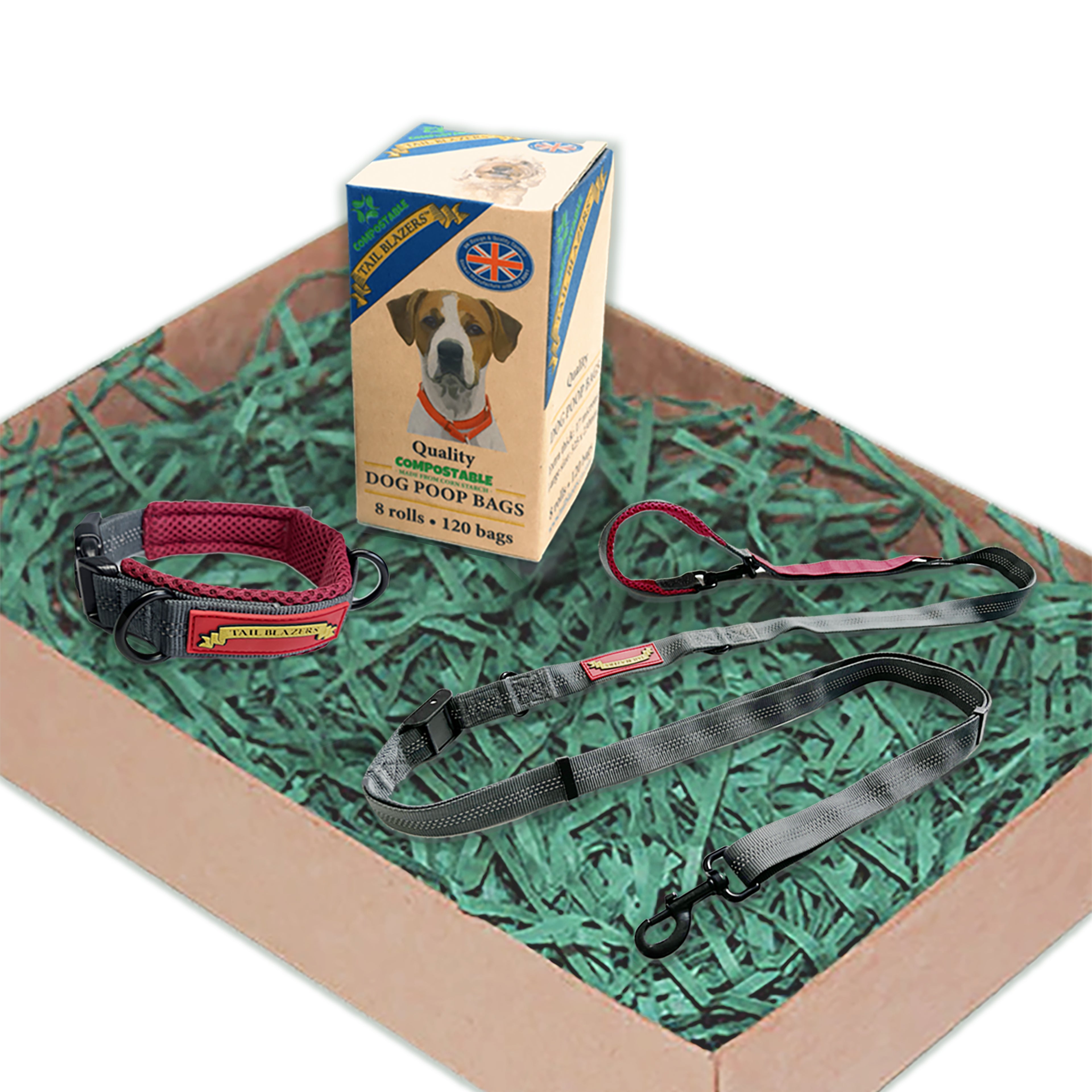 Collar and lead set