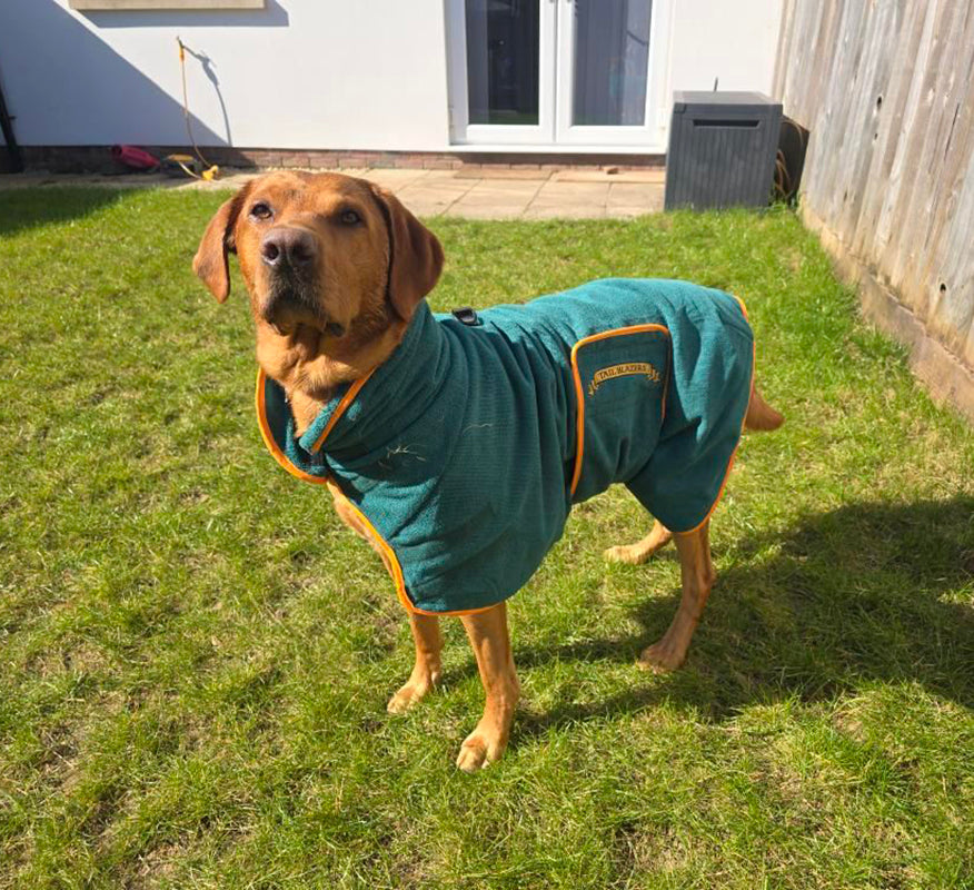 Classic Dog Drying Coat Green