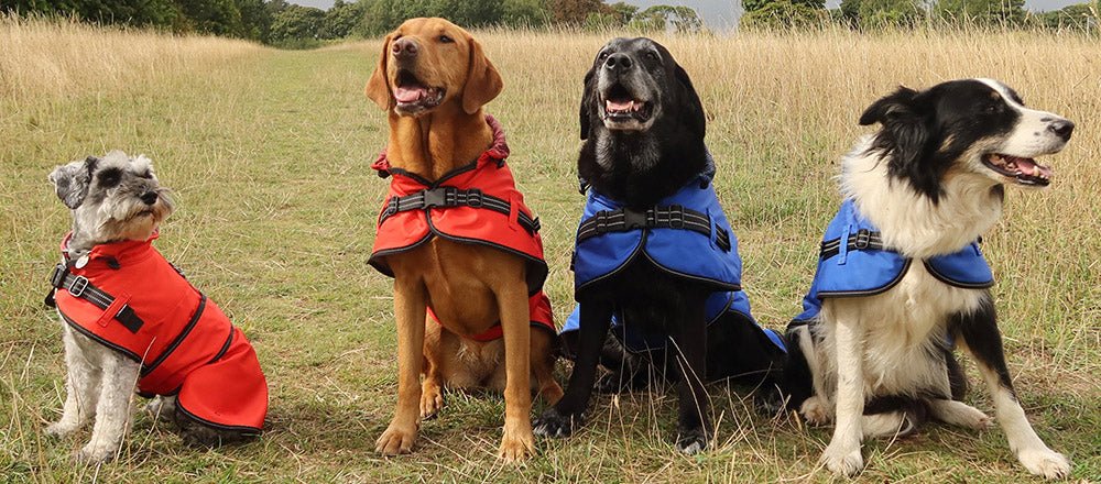 Waterproof Dog Coats