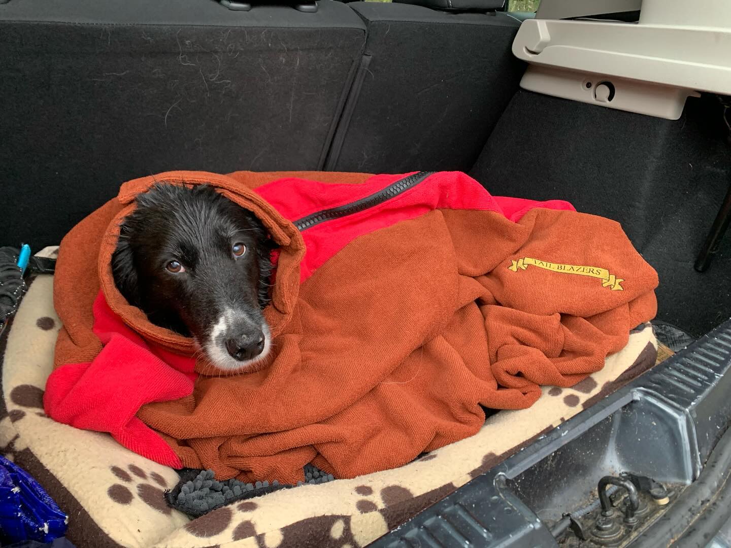 Dog Drying Bag Brown