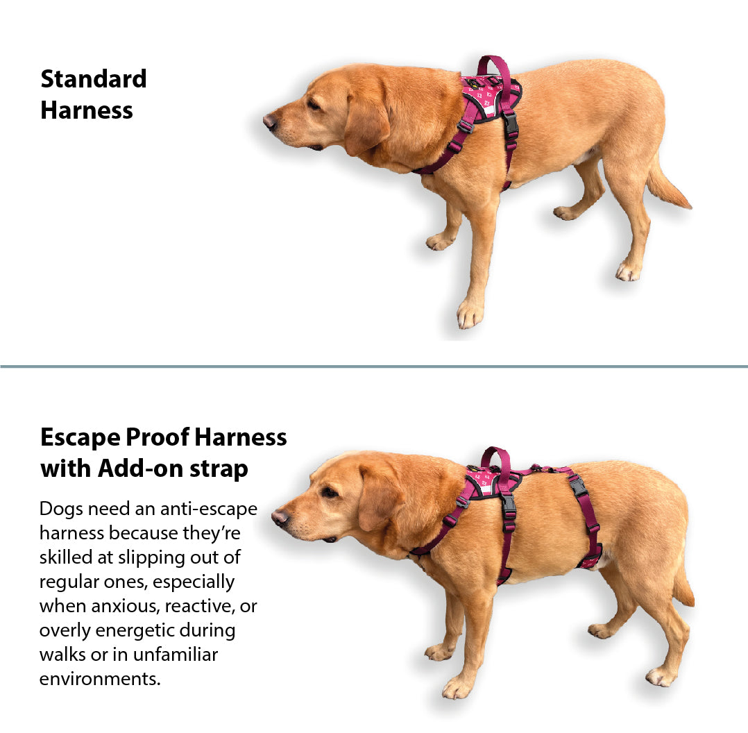 Add-On No Escape Strap. Secure Anti-Escape Dog Harness with Handle.