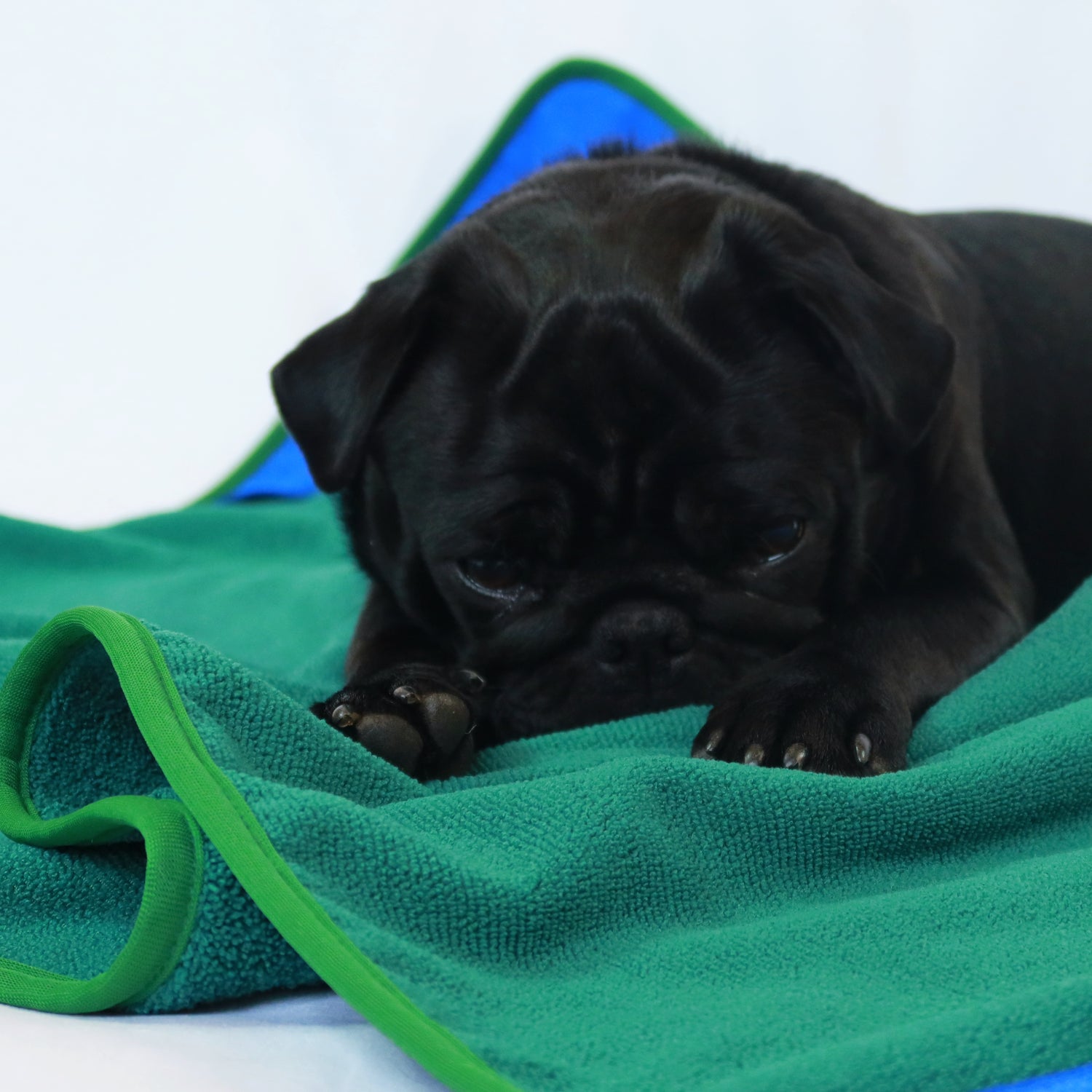 Dog drying towel Green1