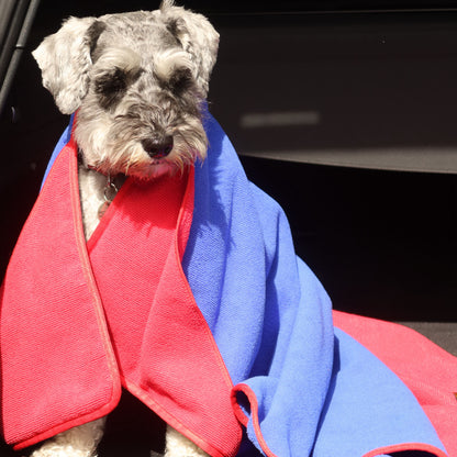 Dog drying towel blue2