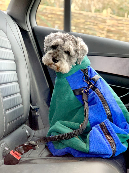 A Schnauzer in the dog drying bag sitting on car, the car seat belt holding the two metal D rings