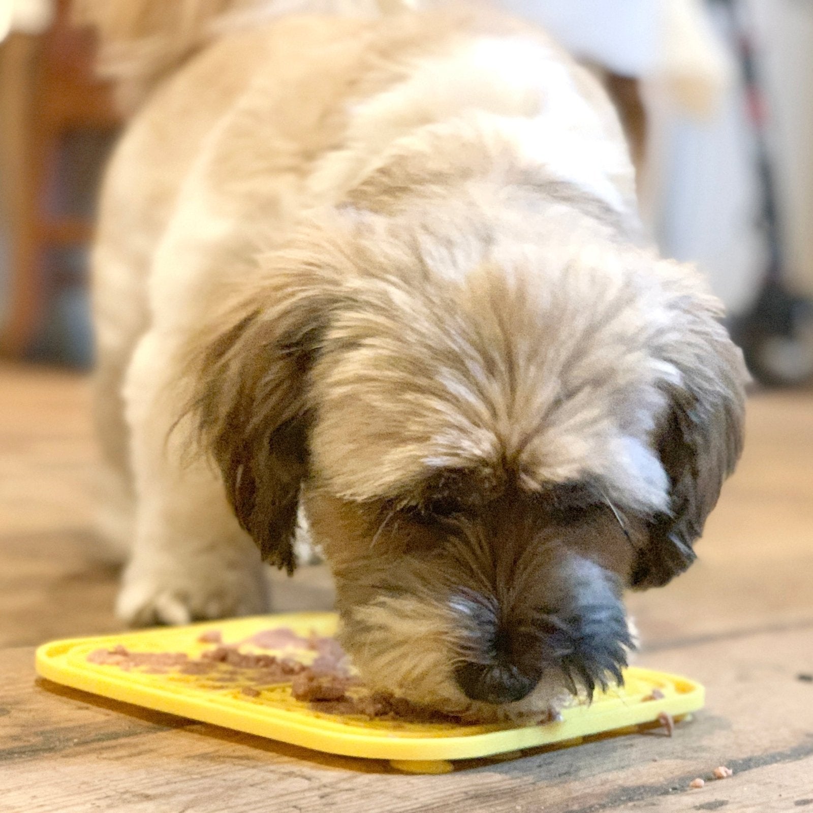 A dog is licking on a feeding lick at with wet food on floor