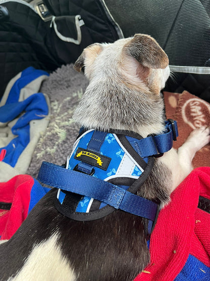 Dog harness small dog