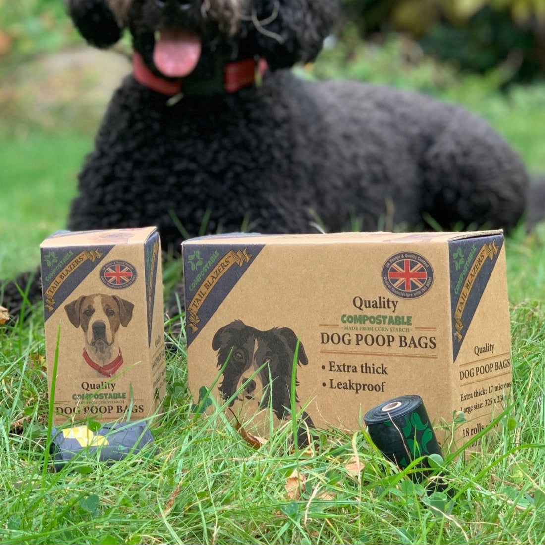 2 boxes of compostable dog poop bags next to a Labradoodle dog on grass