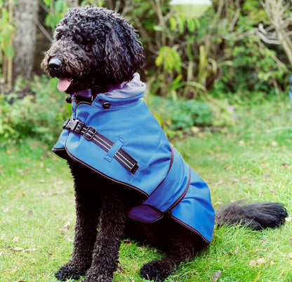 Rain coat blue