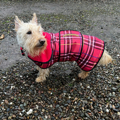 Premium Dog Drying Coat